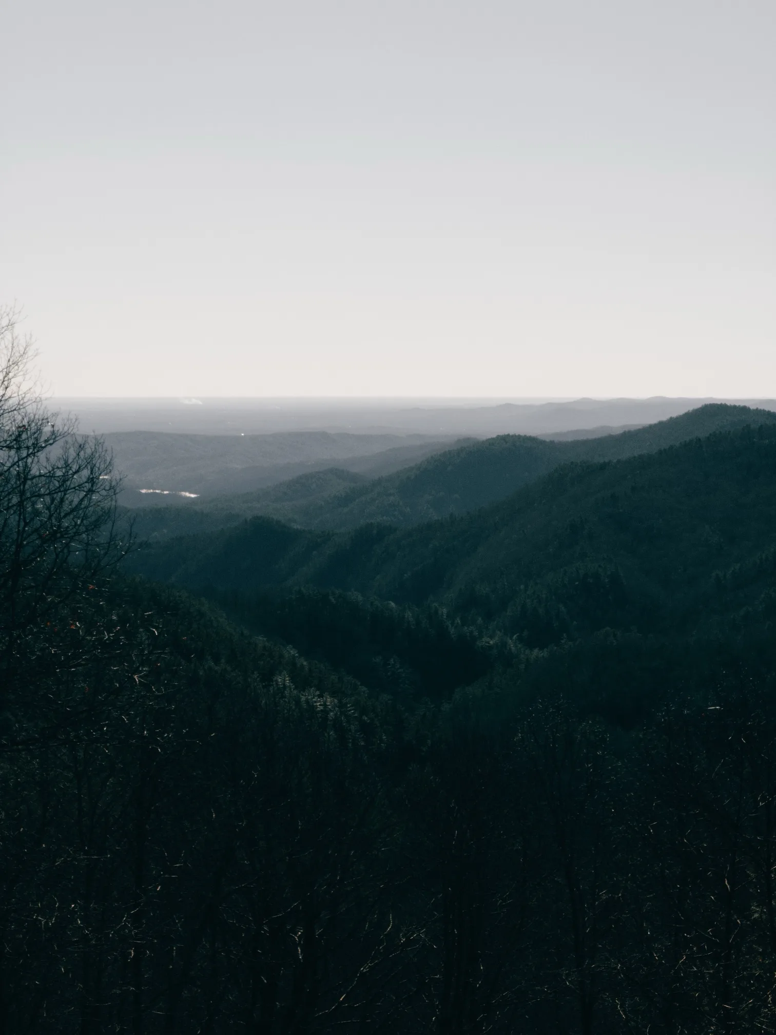 Forested ridges fading into haze from a lookout
