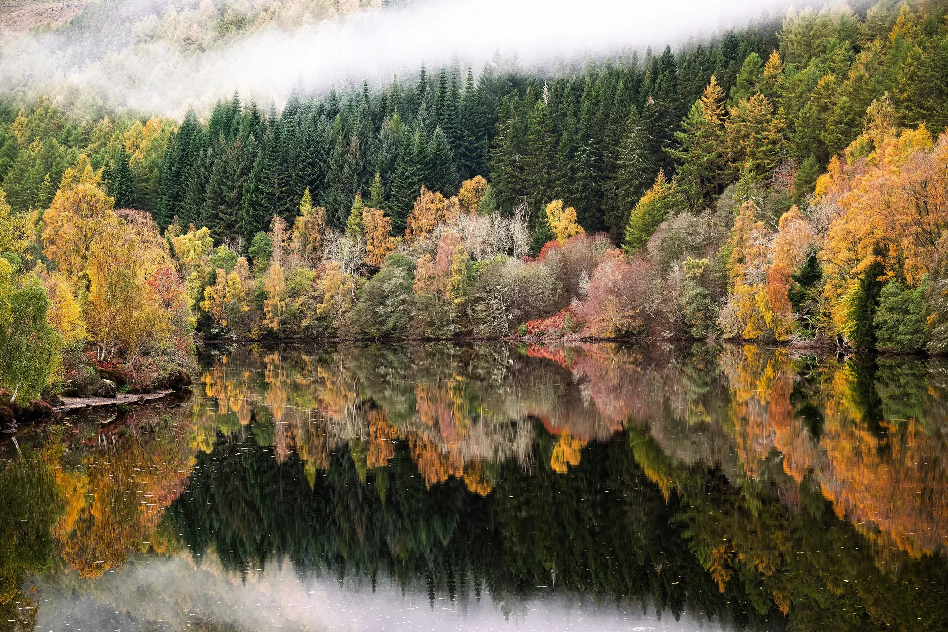 Autumn forest reflected in a still loch under low fog
